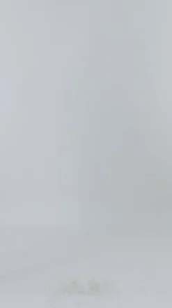 Reversible Select Shearling Lamb Zip Parka