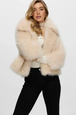 Select Cashmere Goat Jacket