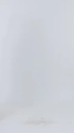 Select Shearling Lamb Zip Parka With Belt